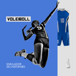 Volei